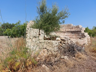 Basilica Pitturata